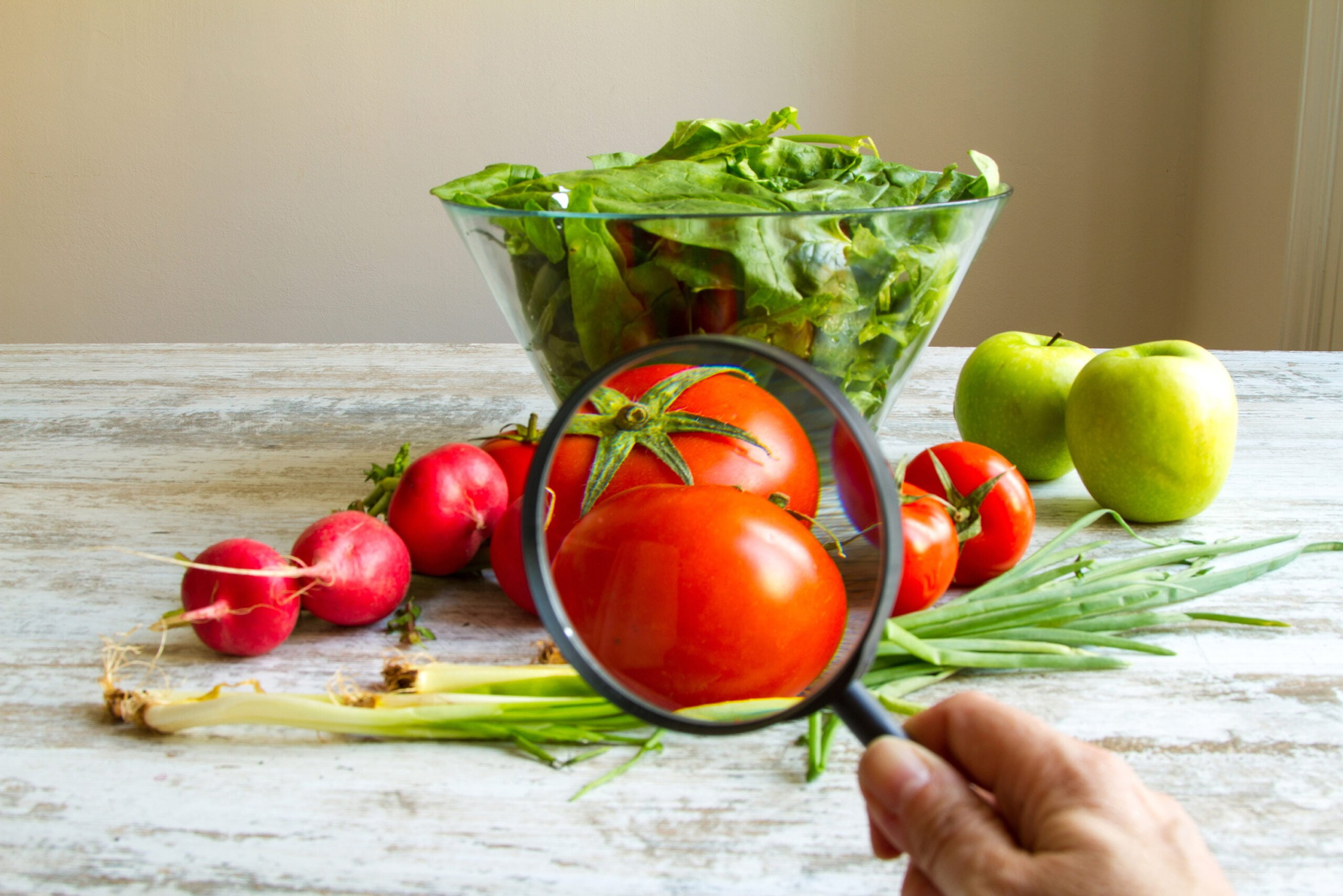 looking at food with a magnifying glass 